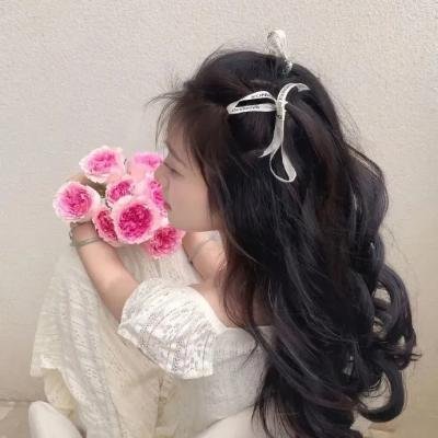 蔷薇少女第二季 梦之终结